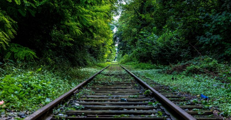 abandoned-forest-hd-wallpaper-34950