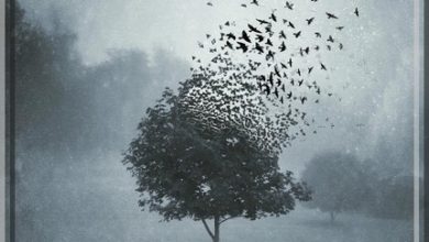 لارِښود